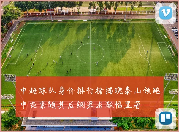 中超球队身价排行榜揭晓泰山领跑申花紧随其后铜梁龙涨幅显著
